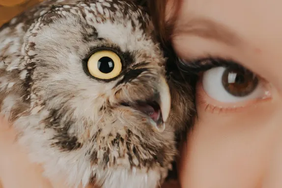 Efbet Casino Wsparcie